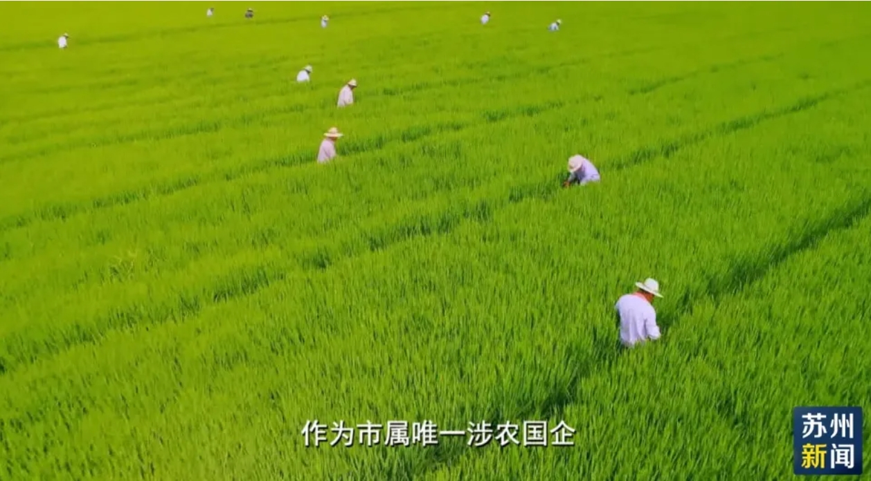 4b30058d5ee6f0565e9a4491681096a7 微信截图_20241029151844.png